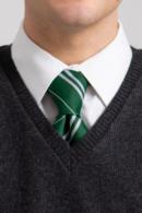 OFFICIAL WARNER BROS. HARRY POTTER SLYTHERIN HOUSE TIE